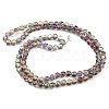 Full Rainbow Plated Electroplate Transparent Glass Beads Strands EGLA-G037-01A-FR02-2