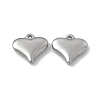 Non-Tarnish 201 Stainless Steel Charms STAS-J401-VC731-2