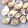 Conch Shell Beads SSHEL-S258-55-1
