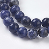 Natural Sodalite Beads Strands G-E110-6mm-3-3