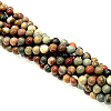 Natural Ocean Agate/Ocean Jasper Beads Strands G-G716-03-6mm-4