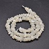 Natural White Moonstone Chip Beads Strands G-E271-112-2
