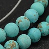 Natural Howlite Beads Strands TURQ-P027-6mm-18A-1