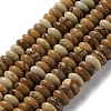 Natural Picture Jasper Beads Strands G-Z030-A18-01-2