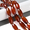 Natural Red Agate Beads Strands G-NH0019-C01-05-4