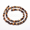 Natural Petrified Wood Beads Strands G-F465-20B-2