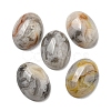 Natural Crazy Agate Cabochons G-C115-01A-33-1