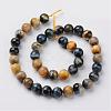 Natural Dream Tiger Eye Beads Strands G-G898-10mm-2