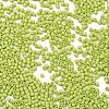 Baking Paint Glass Seed Beads SEED-S042-05B-62-3