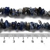 Natural Sodalite Beads Strands G-F328-25-8