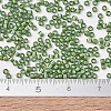 MIYUKI Delica Beads X-SEED-J020-DB1786-4