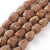 (Holiday Stock-Up Sale)Natural Picture Jasper Beads Strands G-O181-04-1