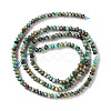 Natural African Turquoise(Jasper) Beads Strands G-F717-02A-3