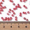 Baking Paint Glass Seed Beads X-SEED-S042-15A-06-4