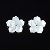 Natural White Shell Mother of Pearl Shell Beads SSHEL-T014-42C-2