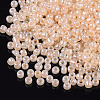 (Repacking Service Available) Glass Seed Beads SEED-C020-4mm-147-3