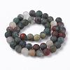 Natural African Bloodstone Beads Strands G-P295-05-8mm-2