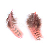 Chicken Feather Costume Accessories X-FIND-Q460-05-3