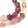 Natural Carnelian Agate Beads Strands G-O173-093-3