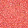 11/0 Grade A Transparent Glass Seed Beads X-SEED-N001-E-303-2