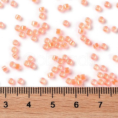 Glass Seed Beads X-SEED-S042-13A-06-1