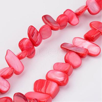 Natural Shell Bead Strands BSHE-P020-M-1