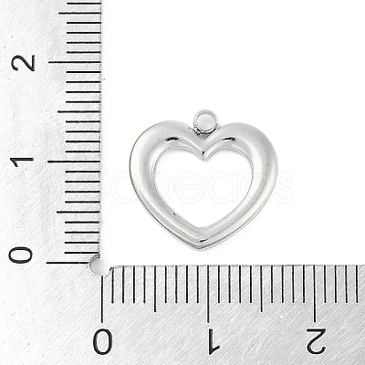 Non-Tarnish 304 Stainless Steel Charms STAS-L022-417P-1