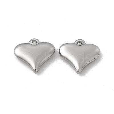 Non-Tarnish 201 Stainless Steel Charms STAS-J401-VC731-1