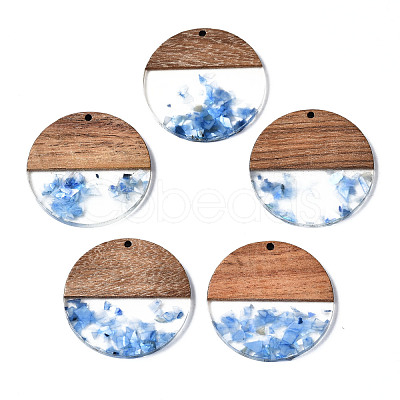 Transparent Resin & Walnut Wood Pendants X-RESI-T035-24-A02-1