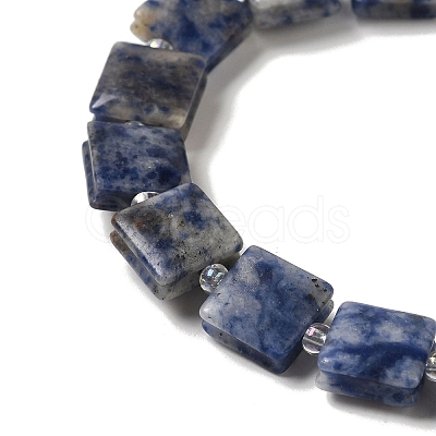 Natural Blue Spot Jasper Beads Strands G-L596-A07-01-1