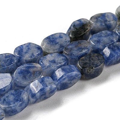 Natural Blue Spot Jasper Beads Strands G-M420-H06-03-1