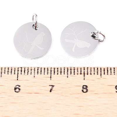 Non-Tarnish 201 Stainless Steel Charms STAS-T049-T674-1-1