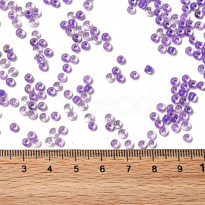 8/0 Transparent Glass Seed Beads SEED-F003-03B-09-1