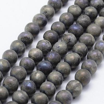 Electroplate Natural Labradorite Beads Strands G-F518-05-10mm-1