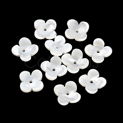 Natural Freshwater Shell Bead Caps BSHE-G034-16-1