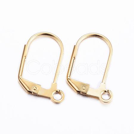 304 Stainless Steel Earrings STAS-P166-11G-1