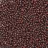 (Repacking Service Available) Baking Paint Glass Seed Beads SEED-C024-C-K18-2