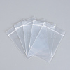 Polyethylene Zip Lock Bags OPP-R007-22x32-1