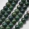 Natural Green Bloodstone Beads Strands G-K208-30-8mm-4