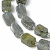 Natural Labradorite Beads Strands G-C098-A05-01-4