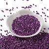 Baking Paint Glass Seed Beads X-SEED-S042-15A-20-2
