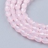 Opaque Solid Color Glass Beads Strands X-GLAA-A036-G01-3