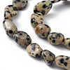 Natural Dalmatian Jasper Beads Strands X-G-B039-03A-3