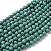 Natural Howlite Beads Strands G-C180-10-1