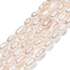 Natural Cultured Freshwater Pearl Beads Strands PEAR-N012-04F-4