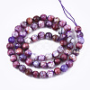 Natural Crackle Agate Beads Strands G-T119-01A-05-2