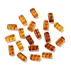 Opaque Acrylic Beads OACR-M018-02H-1