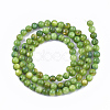 Freshwater Shell Beads Strands X-SHEL-S276-32D-2