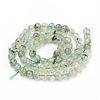 Natural Prehnite Beads Strands X-G-Q961-03-6mm-2