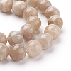 Natural Sunstone Beads Strands G-G099-10mm-14-3